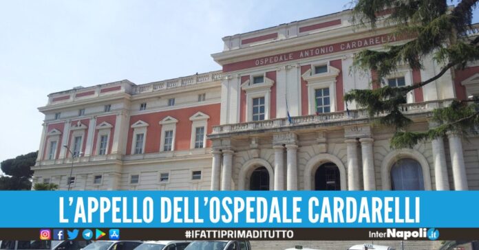 donazioni sangue gruppo 0