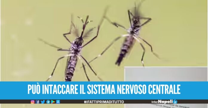 può intaccare il sistema nervoso centrale
