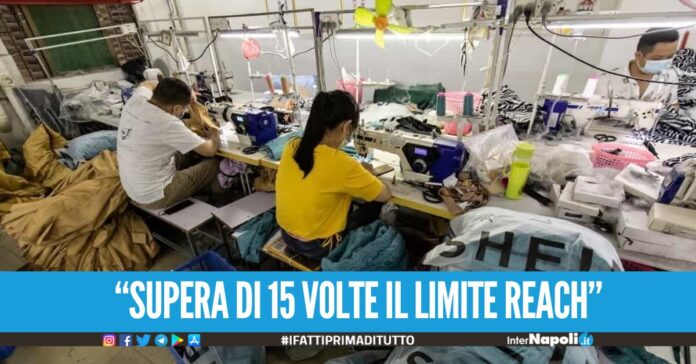 “supera di 15 volte il limite Reach