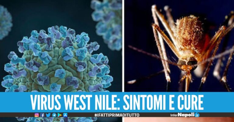 In Campania il primo caso di encefalite da ‘West Nile’, i sintomi del virus