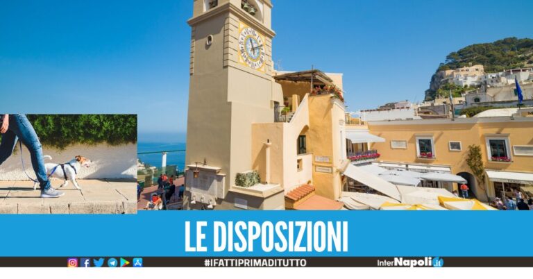 Maximulte a Capri per i cani senza guinzaglio o paletta: multe fino a 500 euro