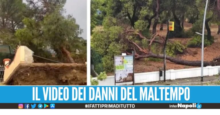 Devastante bomba d'acqua in Puglia, case distrutte e alberi abbattuti