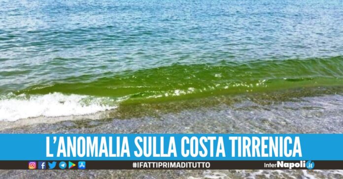 Il mare diventa verde in Calabria, il motivo spiegato dall'ArpaCal