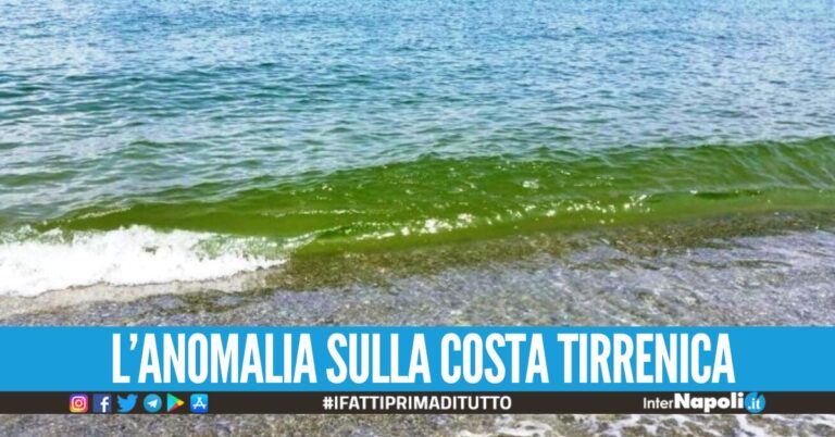 Il mare diventa verde in Calabria, il motivo spiegato dall'ArpaCal