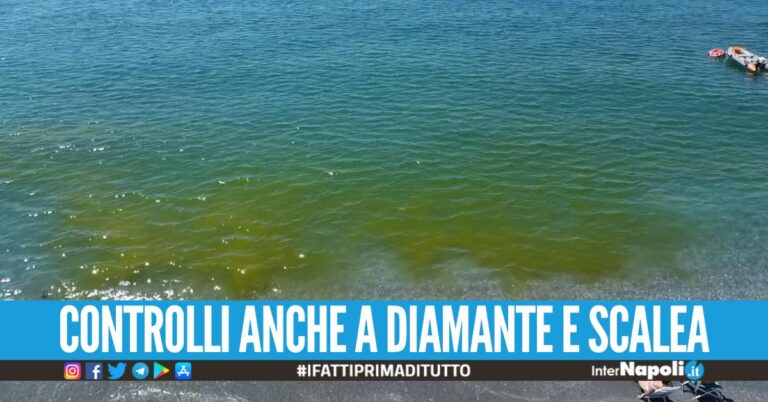 La rabbia dei turisti napoletani a Scalea Mare è verde