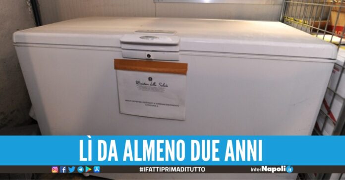 madre freezer