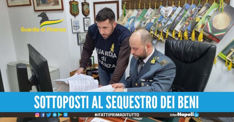 consulenze