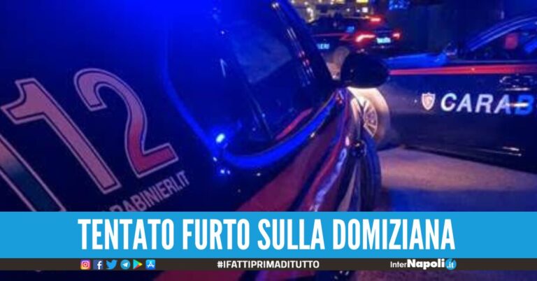 negozio