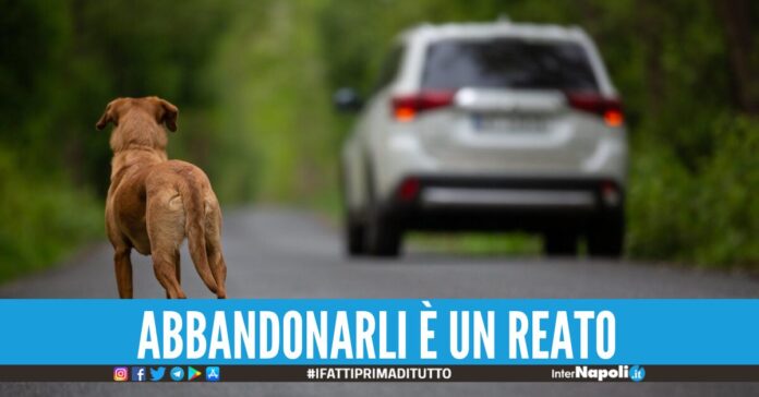 abbandono