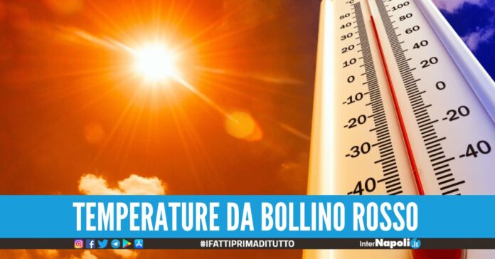 calore