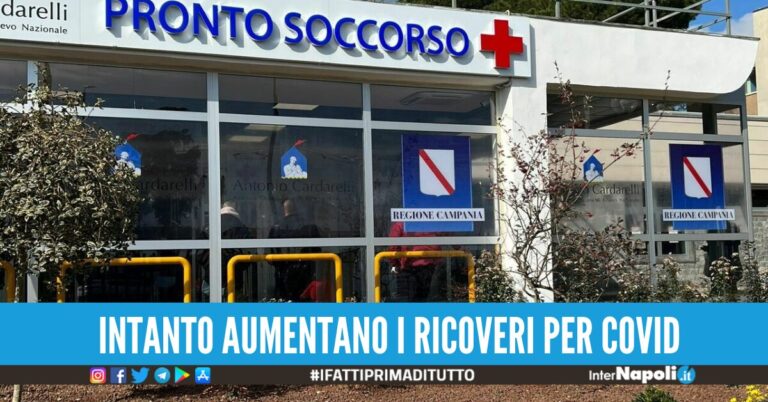 ospedale cardarelli agosto ricoveri