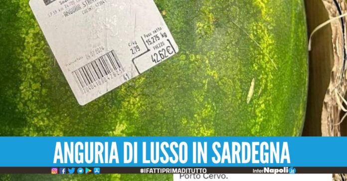 Quindici chili di cocomero a 42,62 euro, la foto dell'anguria di lusso diventa virale