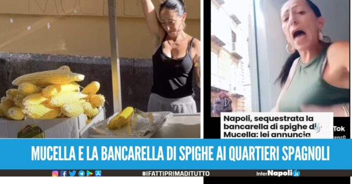 Sequestrato il camioncino a 'Mucella', scatta la protesta della tiktoker venditrice di spighe