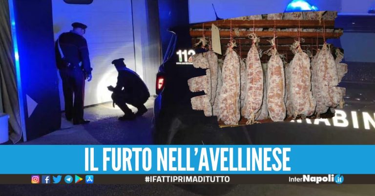 Rubano due furgoni poi il raid in una ditta, ladri in fuga con quintali di salumi