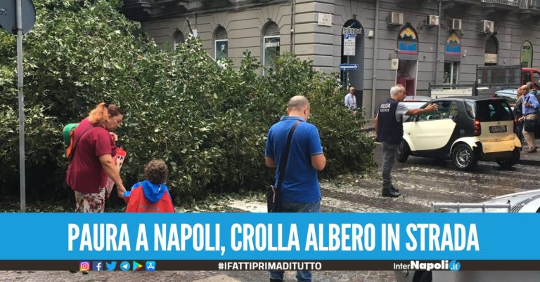Il maltempo flagella la Campania, scuole chiuse in diversi Comuni crolla albero al Napoli