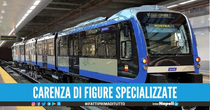 linea 6