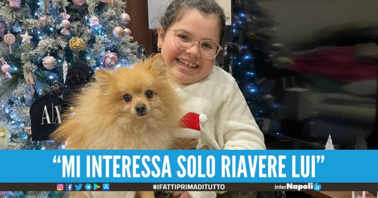 Rubano il cane di una bimba in carrozzina ad Acerra l'appello del papà per riaverlo