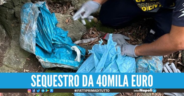 Vanno a pulire i boschi a Ischia studenti trovano 5kg di hashish nascosti