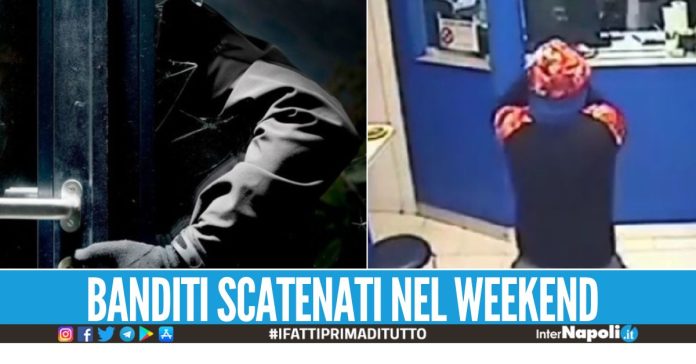 Assalti al noto bar e al centro scommesse ad Acerra, malviventi in azione