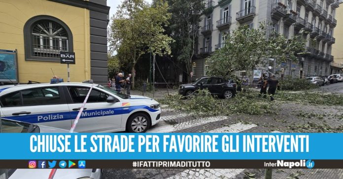Suv finisce contro l'albero e lo abbatte, paura e disagi a Napoli