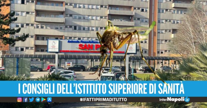 febbre del nilo benevento campania