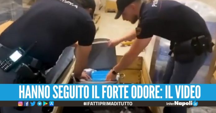 Sequestrati oltre 1000 kg di hashish a Roma, colpo milionario ai narcos