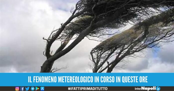 raffiche vento napoli nord