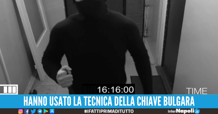 topi appartamento melito