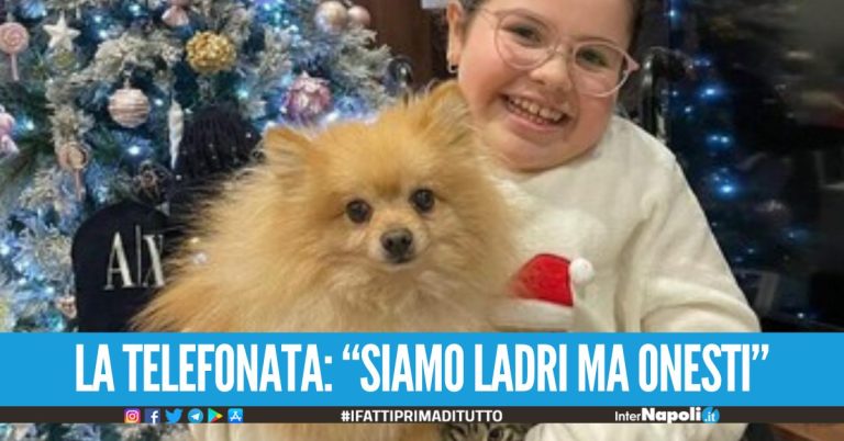 Acerra, i ladri restituiscono il cane rubato a Miriam Siamo ladri ma onesti