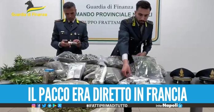 Blitz antidroga nel Napoletano, scoperto carico da 60 Kg di marijuana