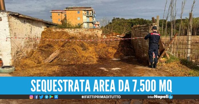 Carabinieri sequestrano maneggi abusivi a Licola nei guai i tre responsabili