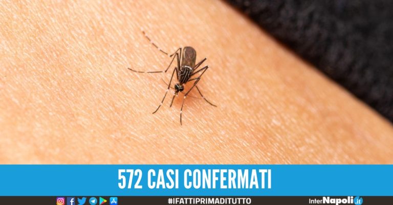 Preoccupa sempre più la Dengue in Italia, oltre 100 casi: malattia trasmessa tramite le zanzare