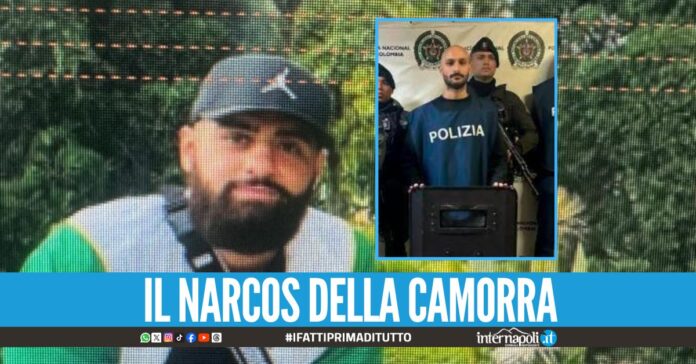 Dalla latitanza di lusso alla tentata evasione, il profilo di Luigi Belvedere