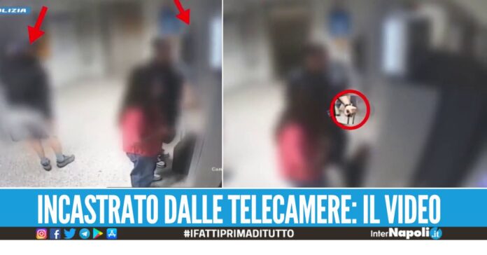 Rubò un Richard Mille da 220mila euro, preso un baby rapinatore