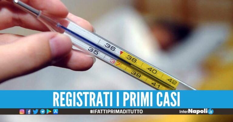 Il virus australiano arriva in Italia, il picco previsto nelle feste: i sintomi