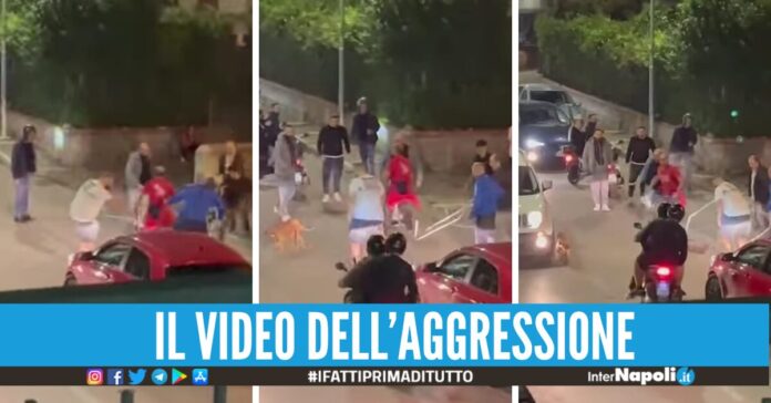 Pitbull azzanna e uccide un cagnolino in strada a Castellammare, i passanti lo prendono a calci e bastonate