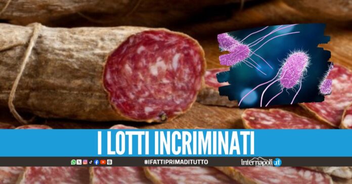 Listeria e salmonella, richiamati lotti di hamburger e salumi a rischio