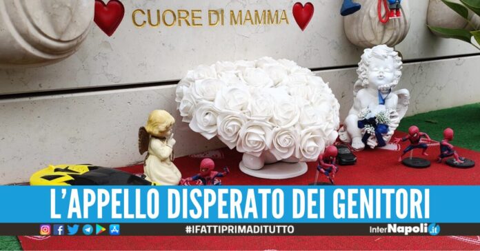 Rubati i giocattoli dalla tomba di un bimbo morto di leucemia a 3 anni: 