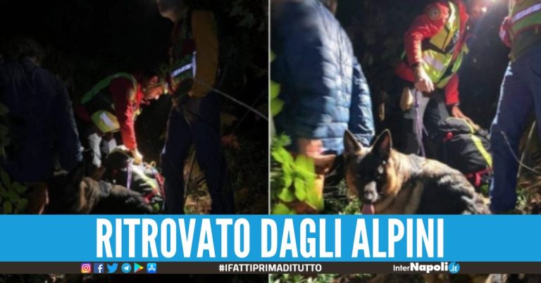 Segue il cane scappato e si perde nel Bosco dei Camaldoli salvato medico 33enne