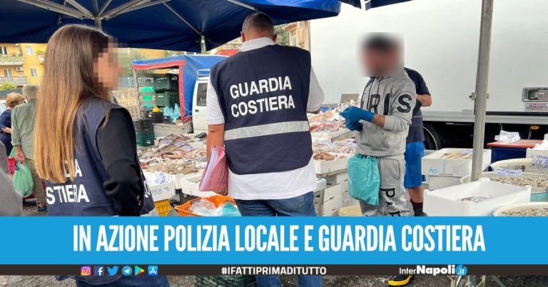 Sequestratate a Pomigliano 4 tonnellate di prodotti ittici, multe per oltre 4mila euro