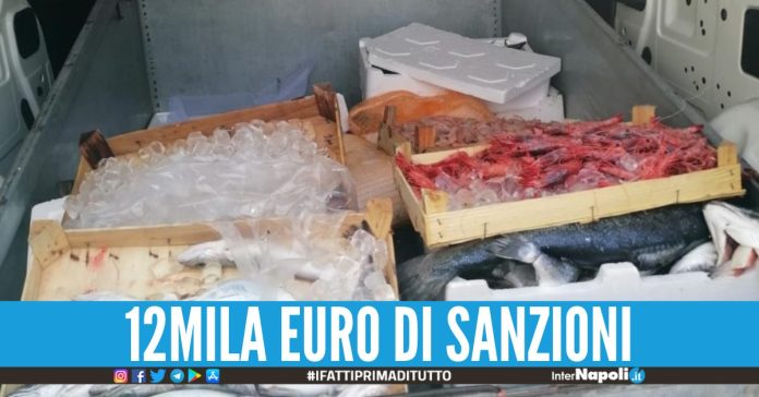 Sequestrati 200kg di pesce a Portici e Torre del Greco nei guai 8 tra ristoranti e pescherie