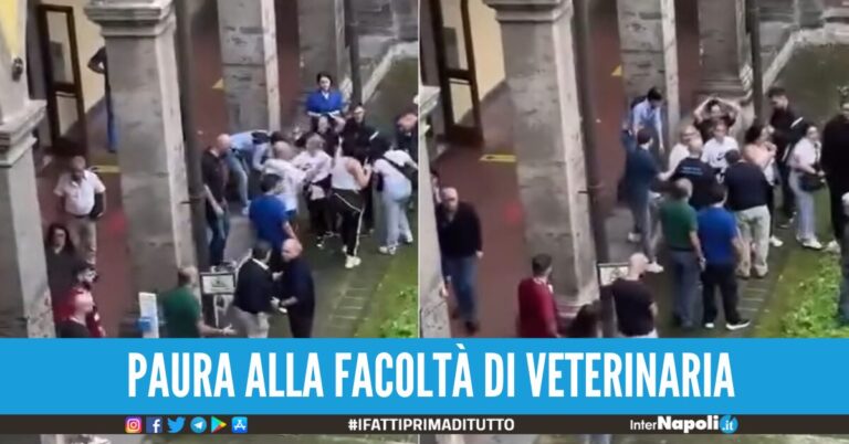 Studenti e docenti picchiati per la morte di un cane a Napoli arrestati i 4 proprietari