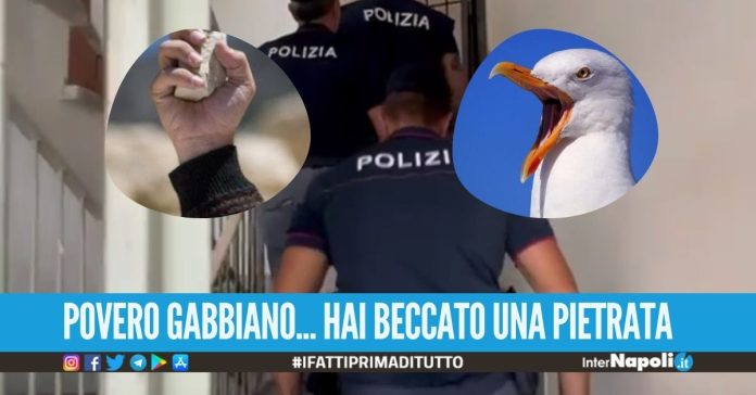 Uccise un gabbiano e fece scoppiare la rissa, come è partito il blitz anti droga a Napoli