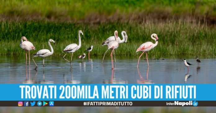 Mega discarica di rifiuti pericolosi scoperta vicino l'Oasi a Villa Literno