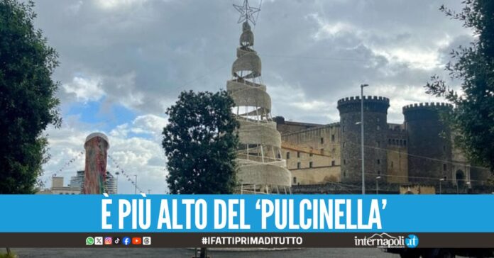 L'albero di Natale in piazza Municipio ma a pochi metri c'è ancora il Pulcinella di Pesce