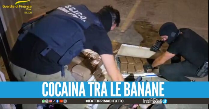 Tonnellate di cocaina dal Sudamerica, 23 arresti contri gli alleati della camorra