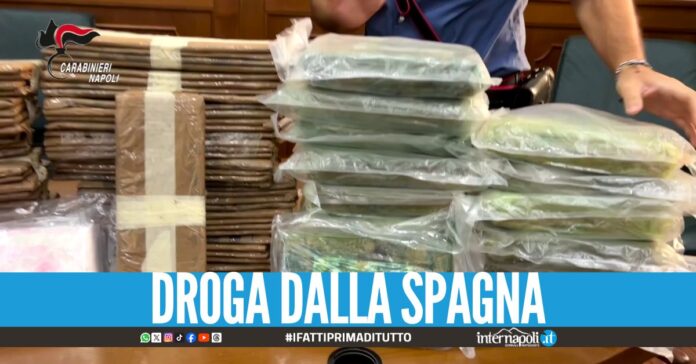 Colpiti i narcos degli Amato-Pagano, 33 arresti nel blitz. Stamattina i Carabinieri dei Nucleo Investigativo di Napoli  con la collaborazione