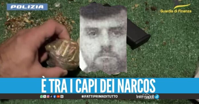 Fiumi di coca all’Arenaccia per i Contini, scarcerato il ras De Angelis