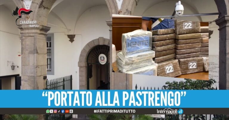 "Mio fratello lo hanno portato a Napoli", l'aiuto legale agli arrestati dei narcos