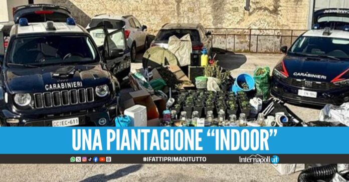 Oltre 7 kg di marijuana coltivata e prodotta in casa, in manette 32enne a Casal di Principe